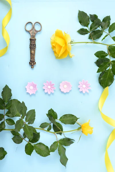 Fundo de verão com bordas decoradas . — Fotografia de Stock