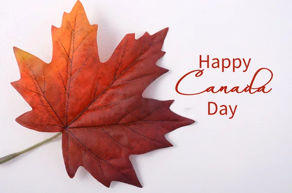 Happy Canada Day Maple Leaf — Stockfoto