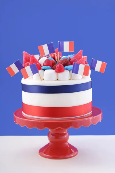 ハッピー フランス革命記念日のお祝いケーキ — ストック写真