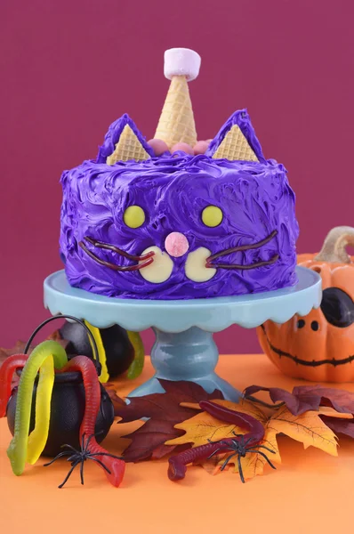 Halloween Party Purple Cat Cake — Stock Photo, Image