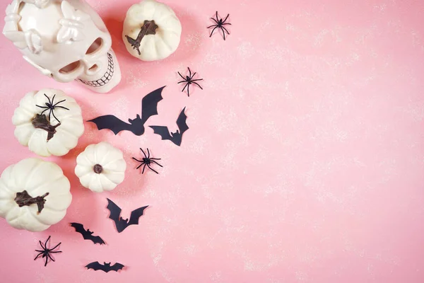 Modern pink Halloween theme flatly background. — Stock Photo, Image