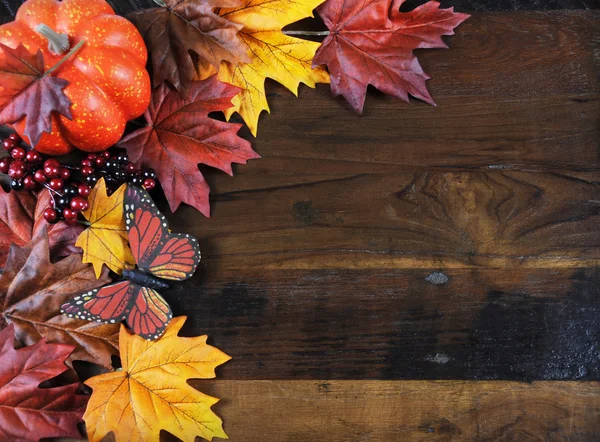 Autumn Fall Thanksgiving Background — Stock Photo, Image