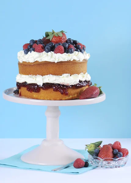Sponge Layer Cake with fresh berries and whipped cream — Stock Photo, Image