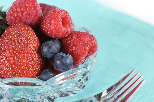 Pan di Spagna con bacche fresche e panna montata — Foto Stock