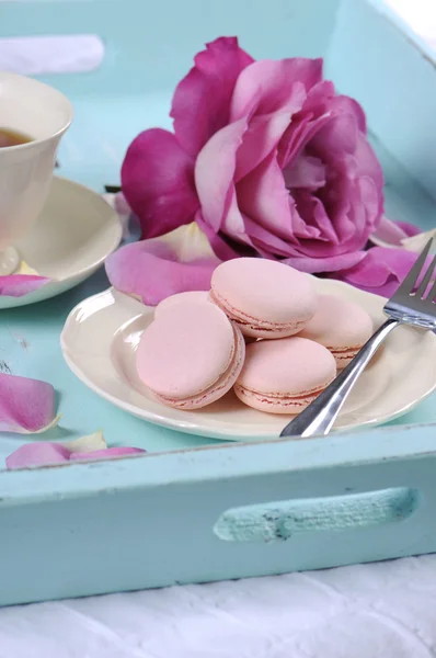 Stylish elegant afternoon tea with macarons and roses. — Stock Photo, Image