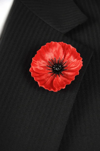 Les We Forget Poppy for Remembrance Day — Stock Photo, Image