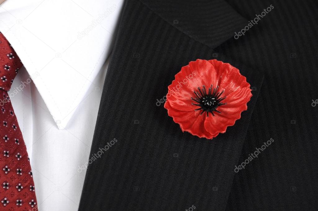 Les We Forget Poppy for Remembrance Day