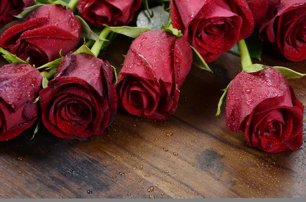 St Valentijnsdag rode rozen — Stockfoto