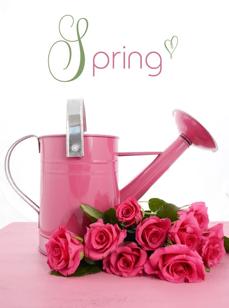 Pink watering can with roses — Stock Photo, Image