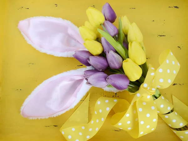 Easter Eggs — Stock Photo, Image