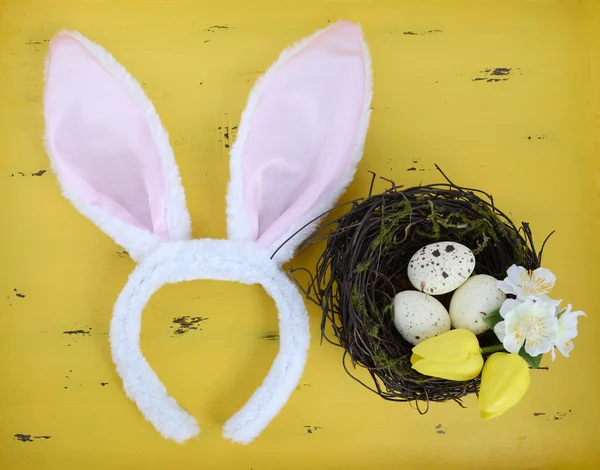 Huevos de Pascua —  Fotos de Stock