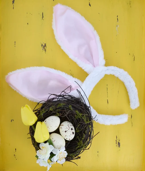 Easter Eggs — Stock Photo, Image