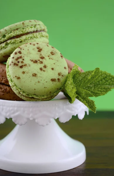 Macaroni alla menta al cioccolato — Foto Stock