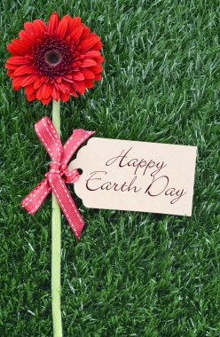 Dünya günü, 22 Nisan, kavram görüntü