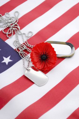 USA Memorial Day concept.  clipart