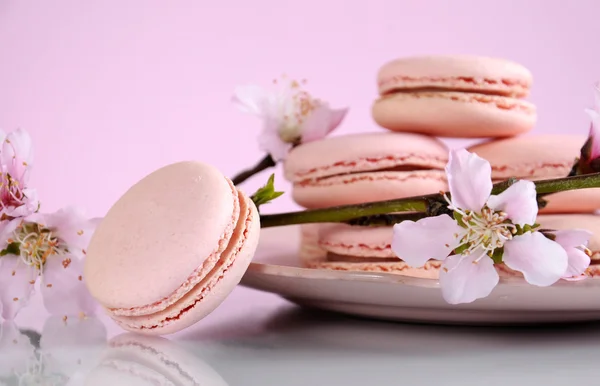 Shabby chic vintage style pink macarons — Stock Photo, Image