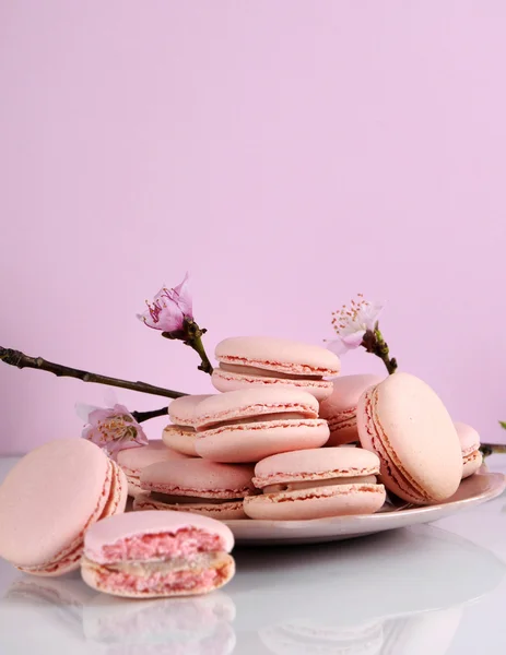Shabby chic vintage style pink macarons — Stock Photo, Image