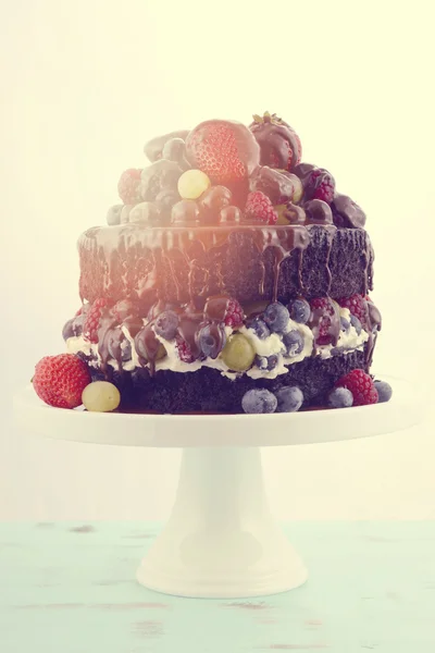 Double layer chocolate mud cake with whipped cream and fruit. — Stock Photo, Image