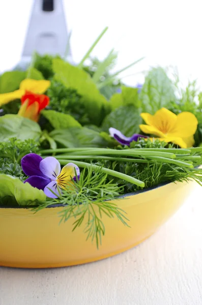 Het koken met kruiden Concept. — Stockfoto