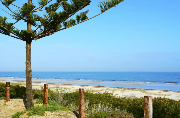 Utsikt över havet strand kust. — Stockfoto