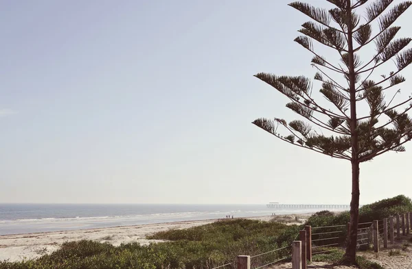 Australian beach and ocean landscape. — Stockfoto