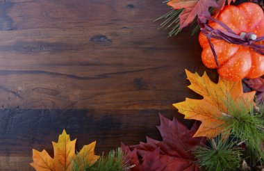 sonbahar sonbahar arka plan 