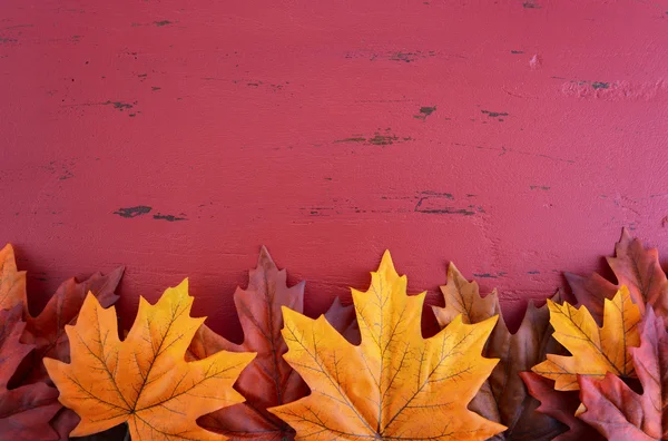 Herbstlicher Hintergrund — Stockfoto