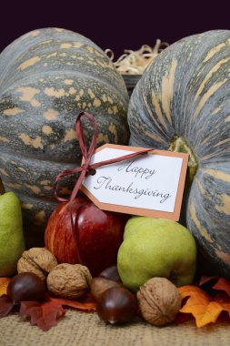 Rustik Ortamda Mutlu Şükran Kabak. 