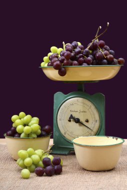 Weighing grapes on vintage scales. clipart