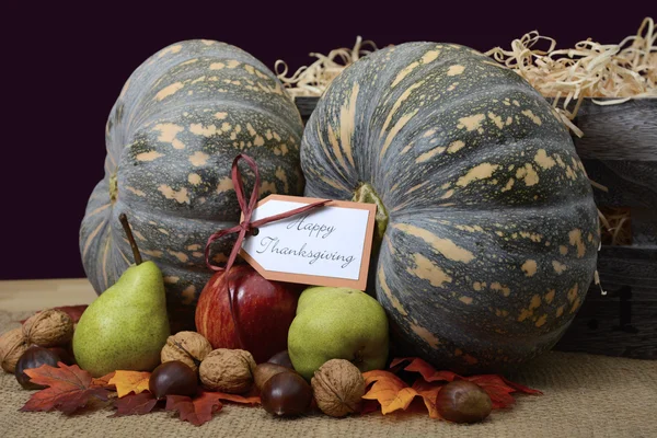 Buona zucca del Ringraziamento in ambiente rustico . — Foto Stock