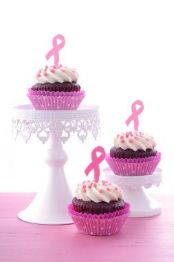 Pink Ribbon Charity for Womens Health Awareness Cupcakes.