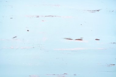 Pale blue rustic wood background.