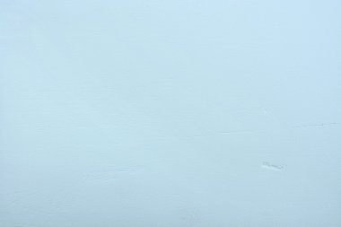 Pale blue rustic wood background.