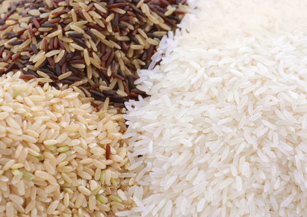 Ingrediente cru de cereais de arroz sem glúten . — Fotografia de Stock