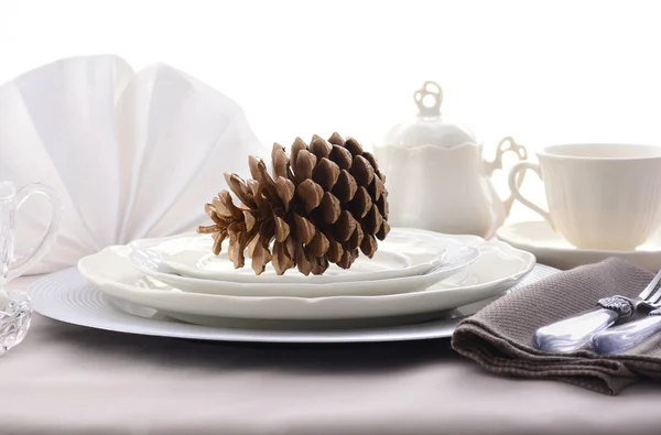 Elegant Formal Dining Thanksgiving Table Setting. — 스톡 사진