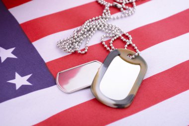 Gaziler günü ABD bayrağı ile köpek Etiketler