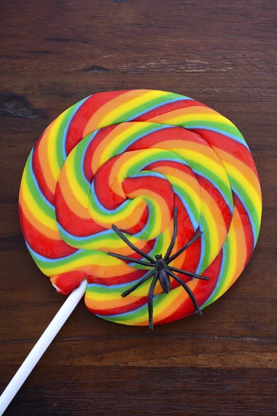 Trick or treat lollipop candy with spider. — Zdjęcie stockowe