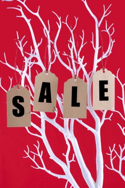 Sale tickets hanging from Winter tree branch