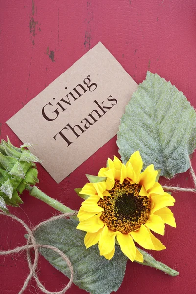 Fondo Feliz Día de Acción de Gracias con bordes decorados . — Foto de Stock