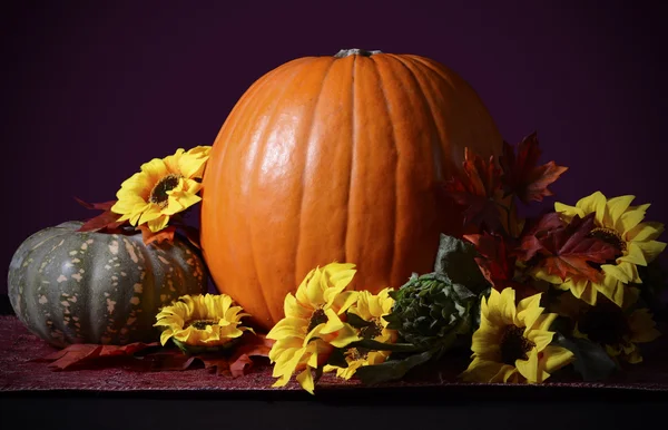 Centrotavola della zucca del Ringraziamento — Foto Stock