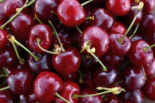 Fresh black cherries fruit — Stock Photo, Image