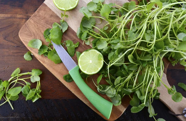 Waterkers salade ingrediënten. — Stockfoto