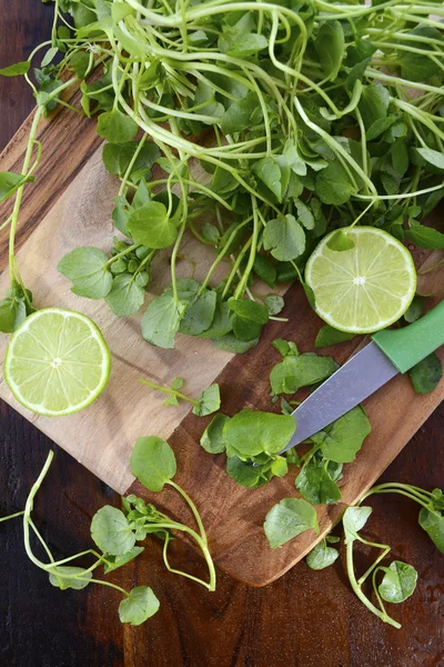 Watercress salad ingredient. — Stock Photo, Image