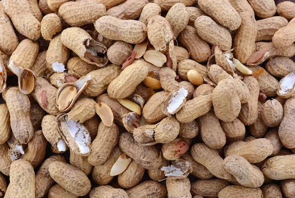 Raw peanuts baackground — Stock Photo, Image