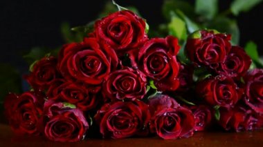 Sevgililer kırmızı gül tatlı su damlaları ile.