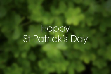 St Patricks Günü shamrock arka plan bulanık.