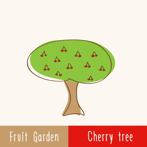 Tuin fruitbomen - enkele kersenboom — Stockvector