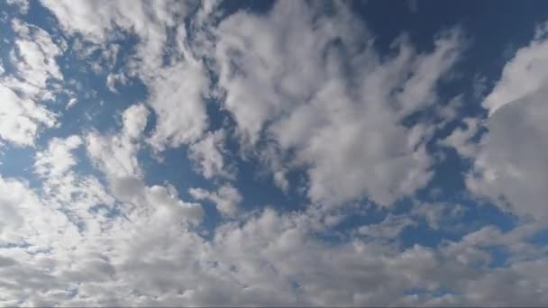 真っ青な空を駆け抜ける白い雲 時間の経過が速く動く — ストック動画