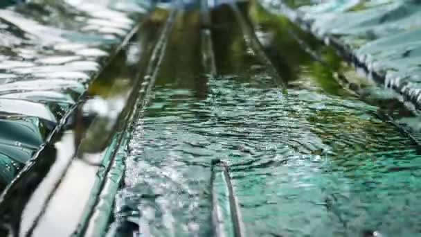 Hydroponische Gemüsebepflanzung Mit Einem Zirkulierenden Wassersystem — Stockvideo