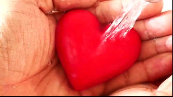 Красное Сердце Ладони Воды Поплыло Вниз — стоковое видео